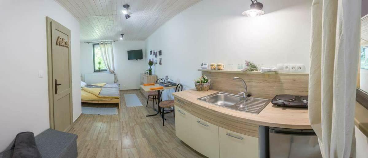 Pod Horou Apartment Stiavnicke Bane Exterior photo
